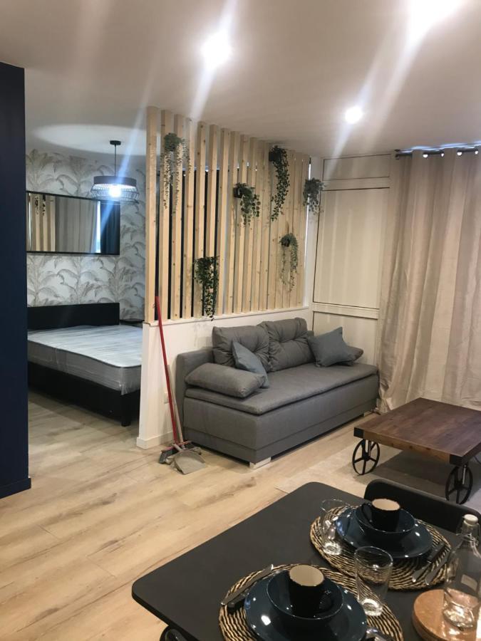 Апартаменти Loft T2 By Locations_Lepuyenvelay Le Puy-en-Velay Екстер'єр фото